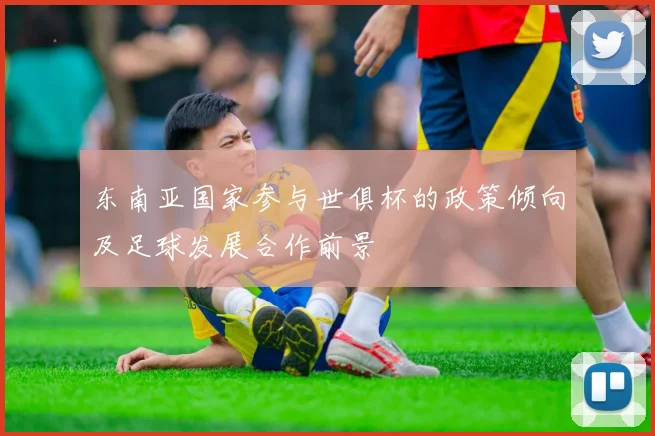 东南亚国家参与世俱杯的政策倾向及足球发展合作前景