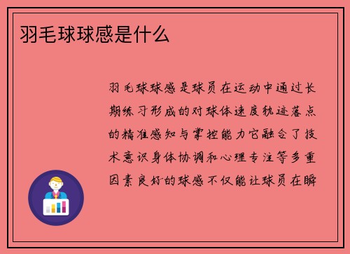羽毛球球感是什么