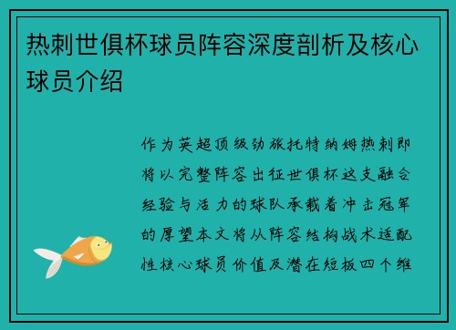 热刺世俱杯球员阵容深度剖析及核心球员介绍